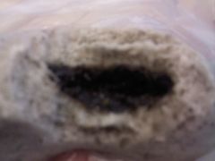 全家芝麻包-全家便利店(孩儿巷店)