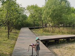 -东郊湿地公园