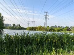 -昆山城市生态森林公园