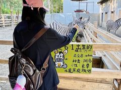 -水上乐园·欢乐世界