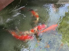 -西安市广仁寺
