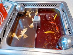 -海底捞大排档火锅(悦荟广场店)