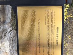 iphone_upload_pic-景山公园