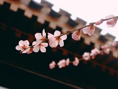 -三里河公园
