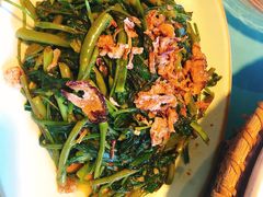 -新加坡瑞士史丹福酒店