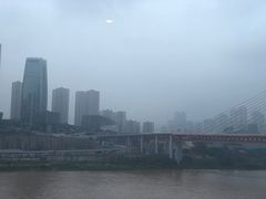 -一只酸奶牛(八一路店)
