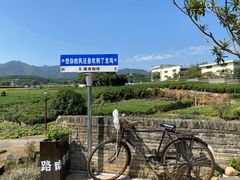 -龙坞茶村