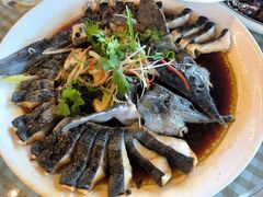 -京北渔家傲
