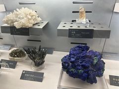 -中国地质博物馆