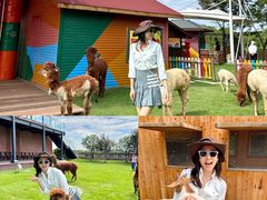 -太阳岛度假酒店