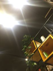 点击看大图 -藤野造型