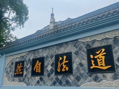 -青羊宫