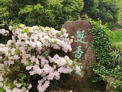 -中国茶叶博物馆(双峰馆区)
