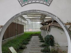 -上海都市菜园