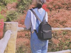 -木兰云雾山
