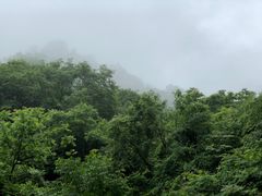 -陕西省红河谷森林公园