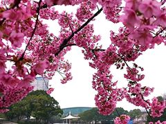 -新江湾城公园