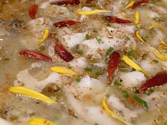 -渔语鱼新川菜Bistro(万象天地店)