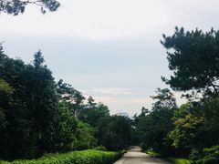 -狐尾山公园