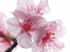 -大埔公路-马料水段香港中文大学(公交站)