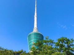 -梧桐山风景名胜区