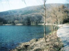 -紫霞湖公园