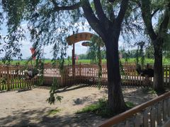 -白渔泡湿地公园