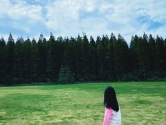 -黄海国家森林公园