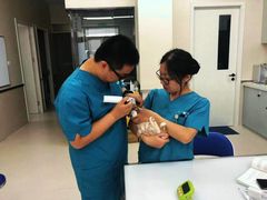 -爱妮康宠物医院·干细胞免疫细胞·肿瘤·心脏(张江店)