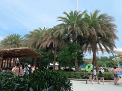 -武汉玛雅海滩水公园