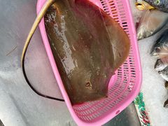 -霞海鸭仔饭店(海滨大道北店)