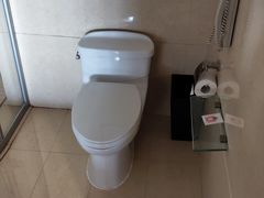 -沈阳于洪碧桂园凤凰酒店