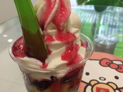 -Salud撒露欧洲冻酸奶(北苑上品店)