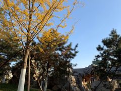 -西海子公园