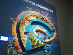 -湖南省地质博物馆