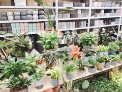 -秦美花卉(天朗·莱茵小城2期店)