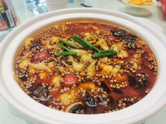 -三强鸽子(中原路店)