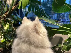 -J Create城市露营咖啡·简餐·宠物(上海动物园店)