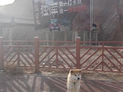 -天山神秘大峡谷