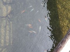 -宁波五龙潭景区