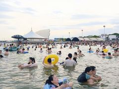 -碧海金沙