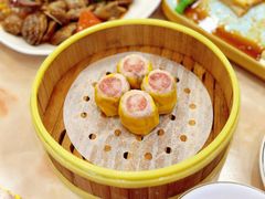 -新金盛·海鲜酒楼(盐田店)