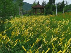 -白河湾生态旅游一条川