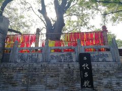 -大槐树寻根祭祖园