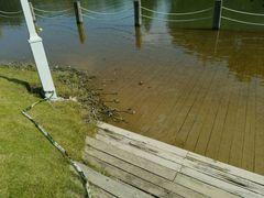 -白塘生态植物园