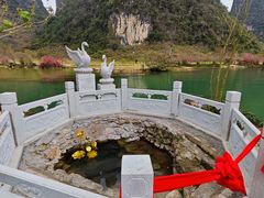-靖西鹅泉风景区
