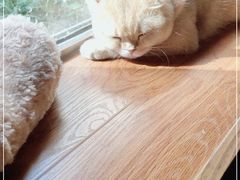 -咖法森林·咖啡  酒吧(天河店)