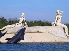 -渔岛海洋度假区