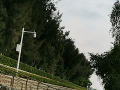 -宝安西湾红树林湿地公园