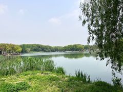 -新洲生态园